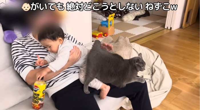 子供を抱いて膝に猫を乗せている人