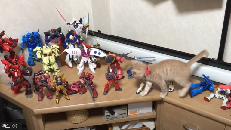 ガンプラが飾ってある棚を歩く猫