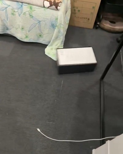 ダッシュする猫