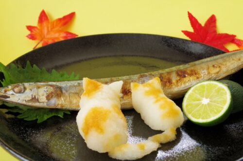 しょうゆがかかった猫かたちをした大根おろし