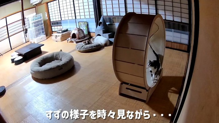 様子を時々見ながら