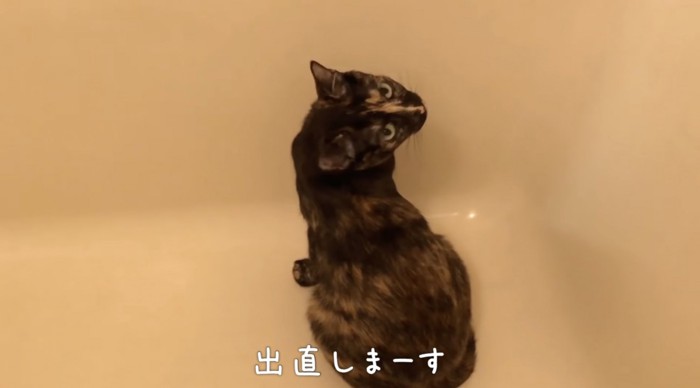 つむぎちゃんの背中