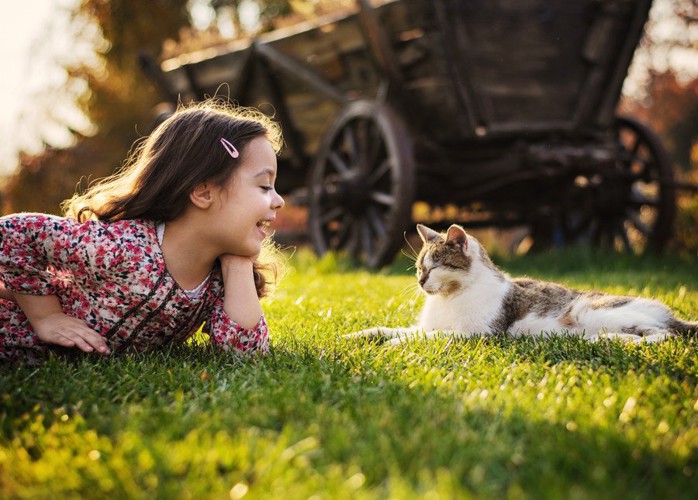 猫と少女