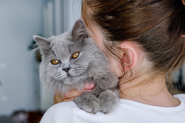 女性に抱かれる老猫