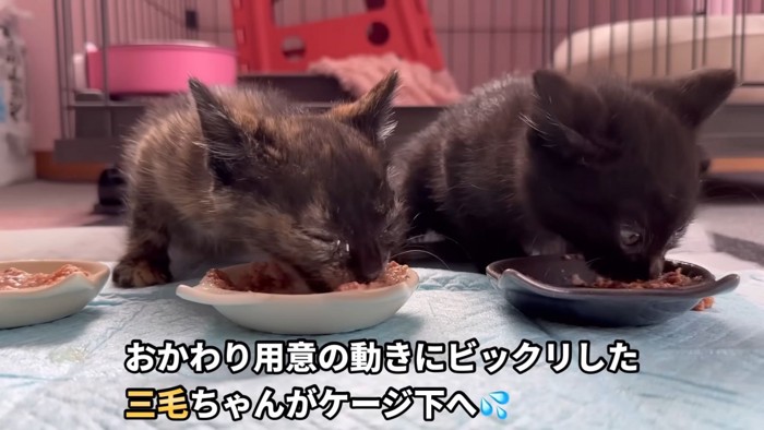 テロップ「おかわり用意の~」