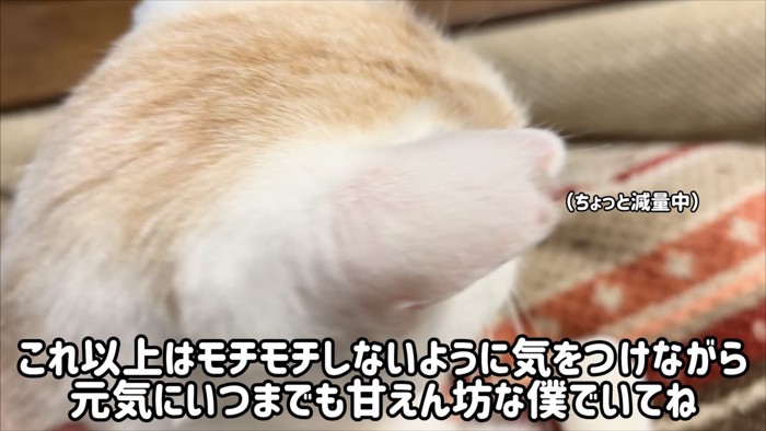「これ以上モチモチしないように～」のテロップ写真
