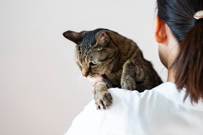 抱っこを嫌がる猫