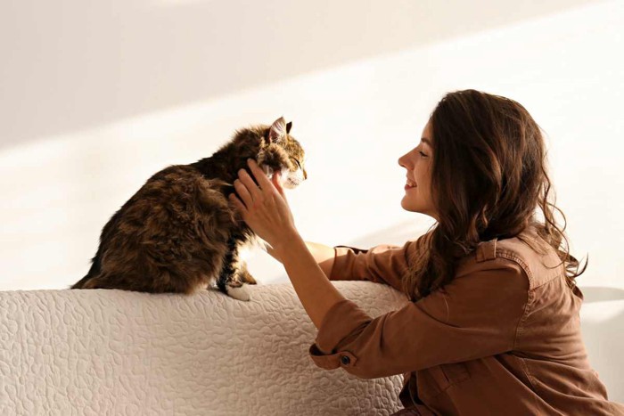 愛猫とスキンシップをとる飼い主さん