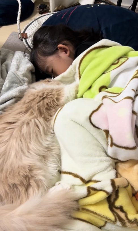 子どもと寝ている猫