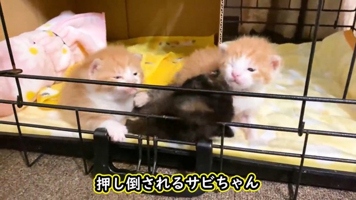 倒される