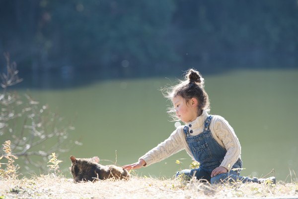 猫と遊ぶ少女