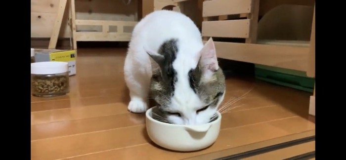 食べる