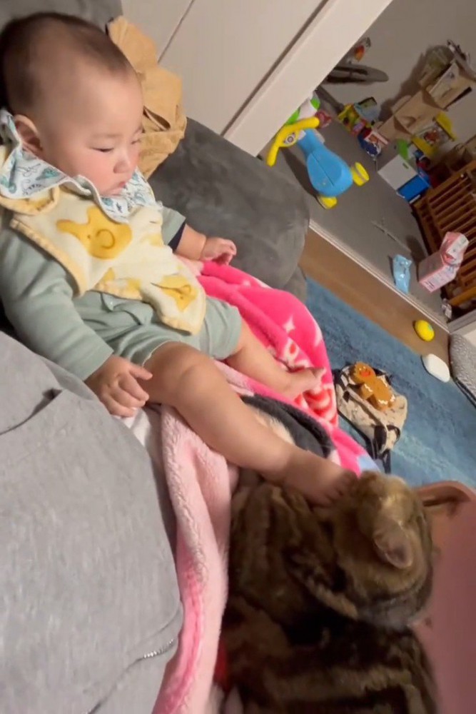 赤ちゃんの足が顔に当たっている猫