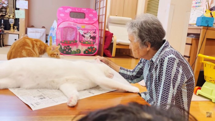 いきるくんも新聞の上に…