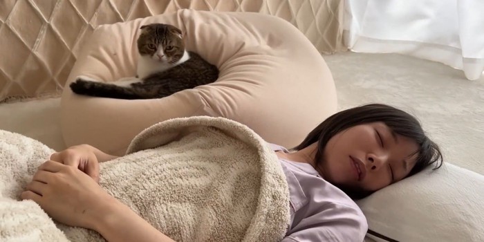 眠る飼い主と丸くなる猫
