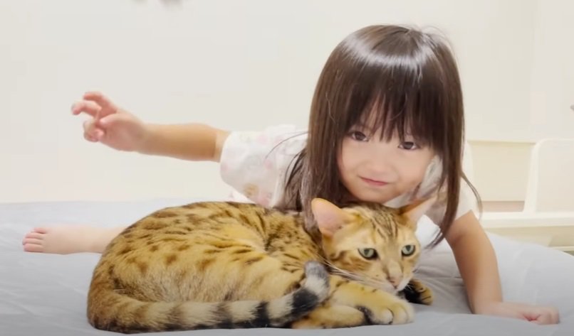 猫の隣でピースする女の子