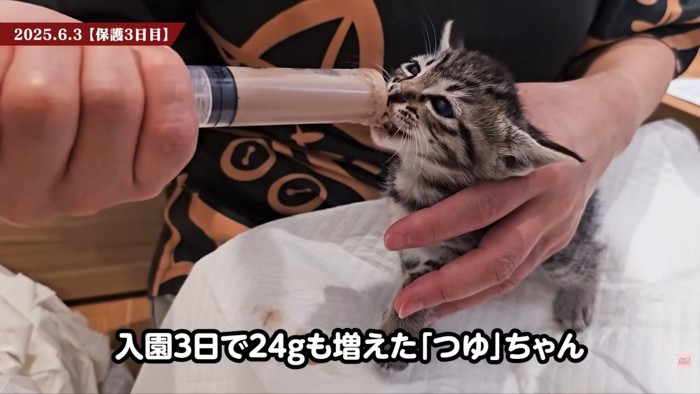 テロップ「入園3日で~」