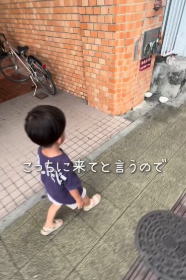 子猫を見つけた少年