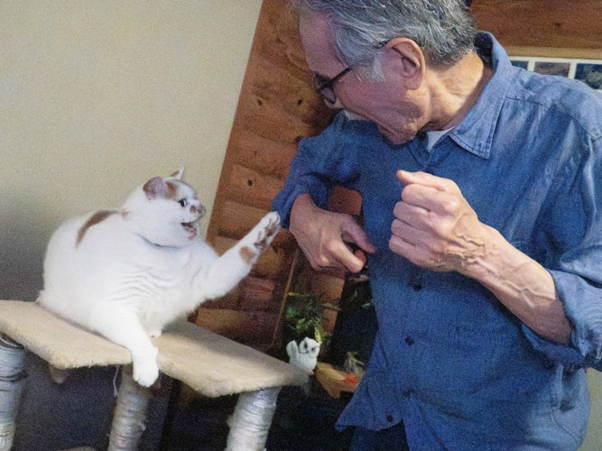 猫と男性