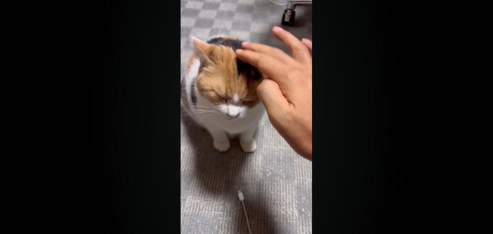 なでなで