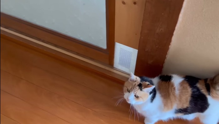 廊下で