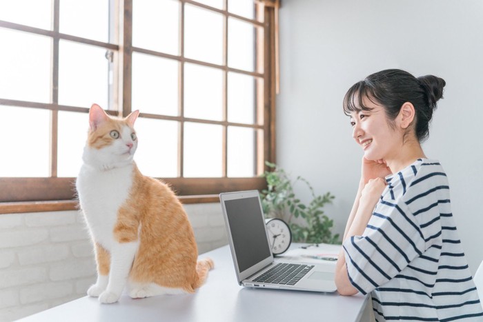 猫と女性