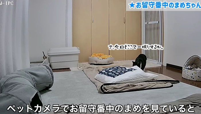 さ、今日もここで一眠りするか