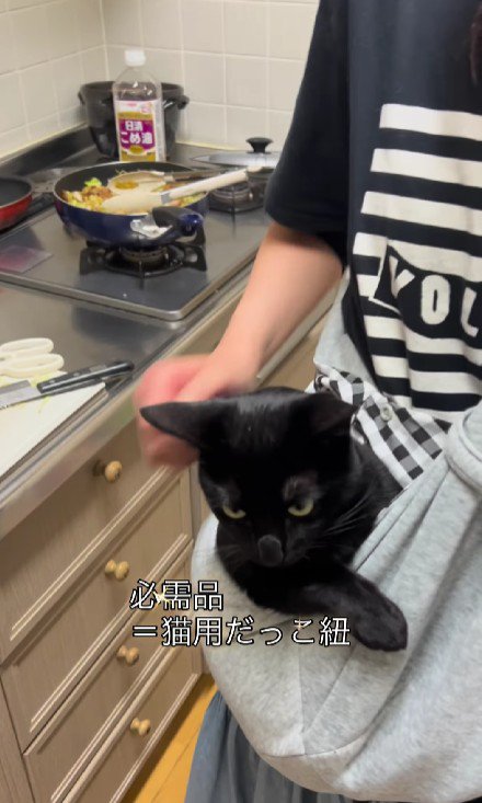 抱っこ紐に入った猫