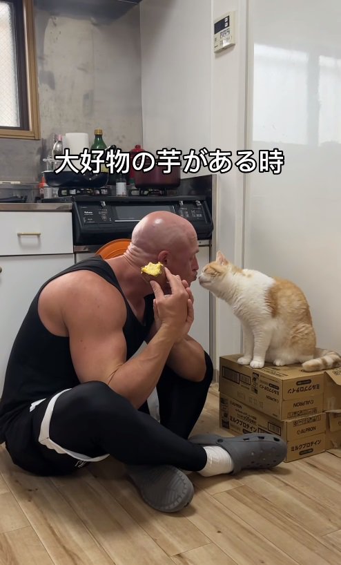 猫に顔を近づける男性