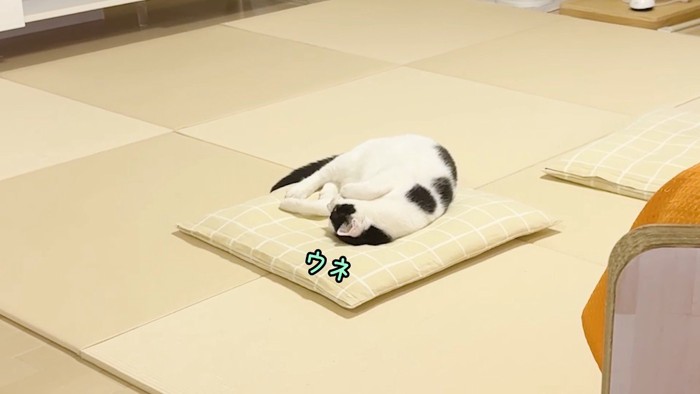 ウネ