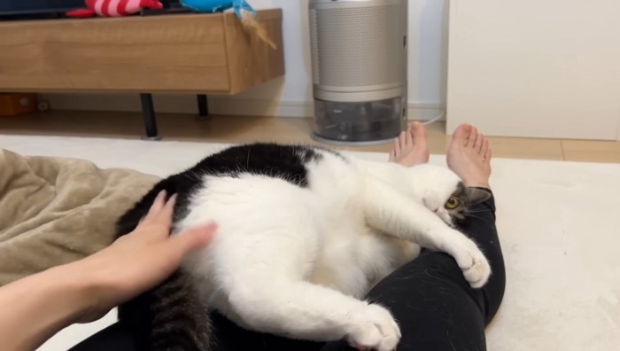 足の上