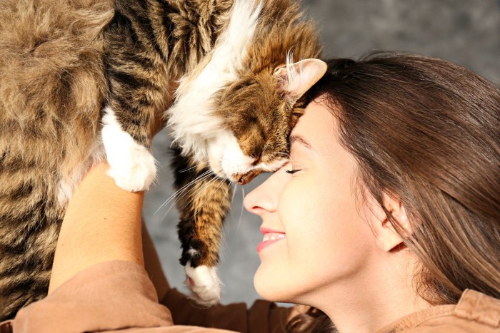 額を寄せる猫と飼い主さん