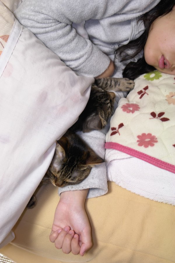 猫と眠る女性