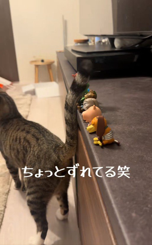 しっぽでフィギュアを触っている猫