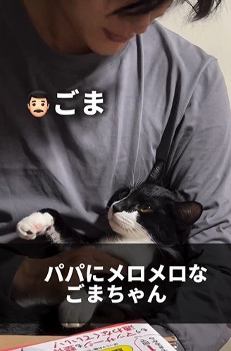 ごまちゃんに呼びかけるパパ