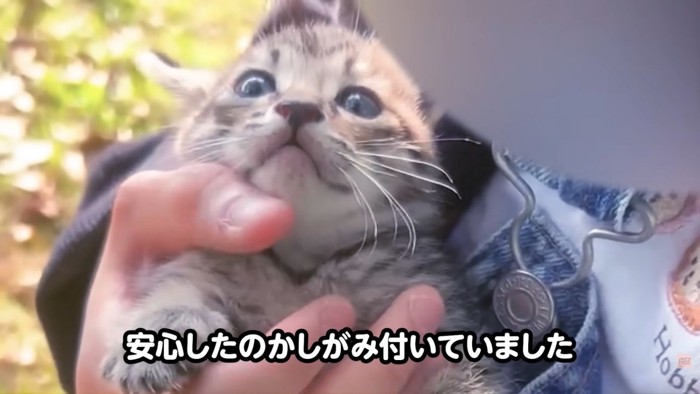 テロップ「安心したのか~」