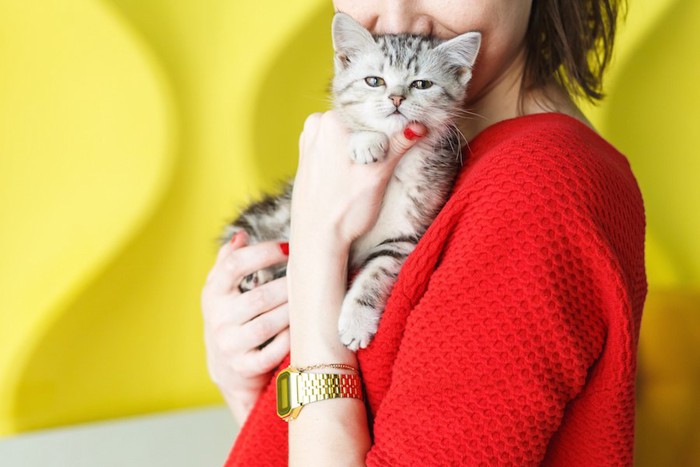 赤い服を着た女性に抱かれた子猫