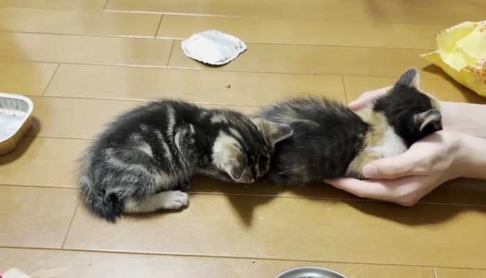 繋がるふたり