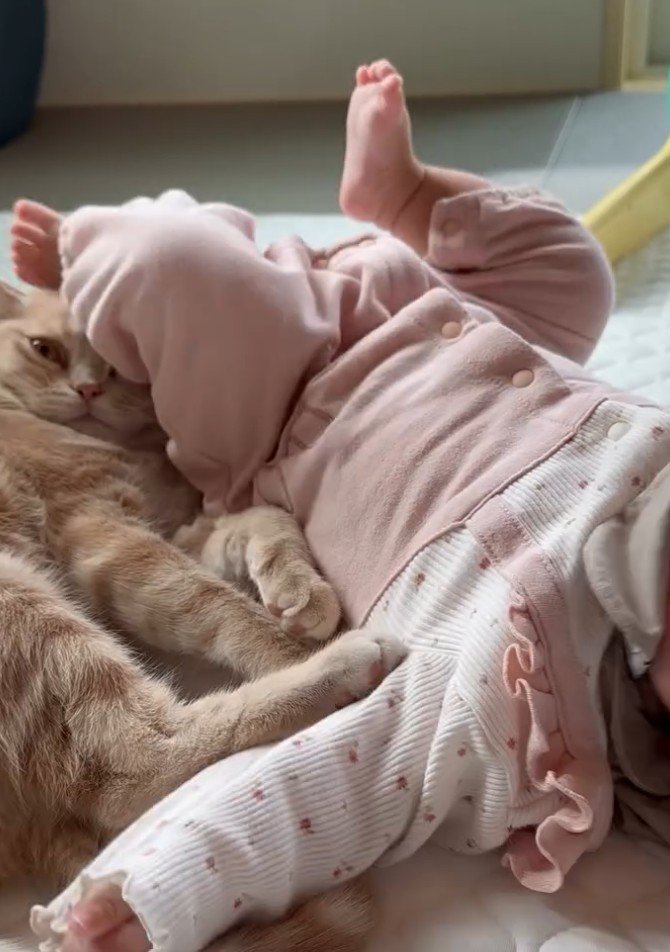 蹴られる猫1