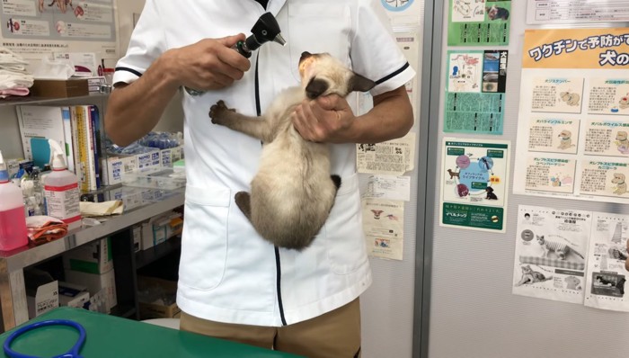 獣医さんにピッタリ