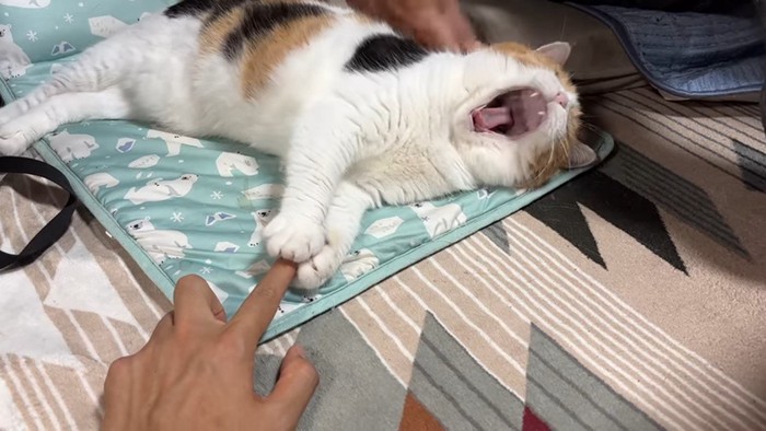 あくび