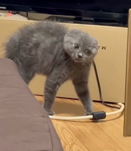 視線だけで追いかける