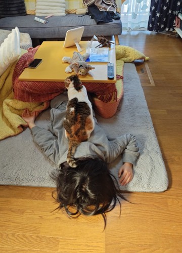 女の子の上に座っている猫