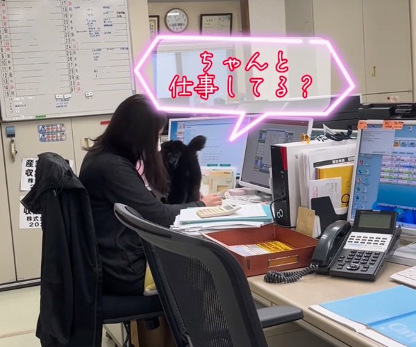 女性社員に近寄るふくちゃん