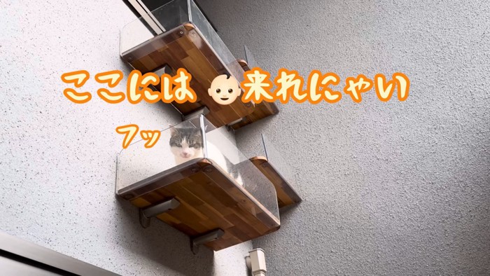 テロップ「ここには～」