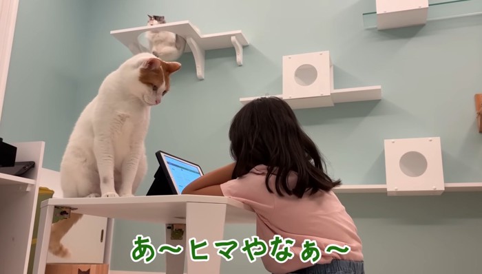 ヒマやなぁ〜
