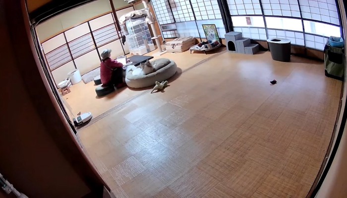 見守られ中
