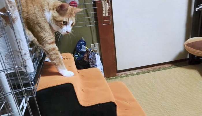 このままいけるかな…！？