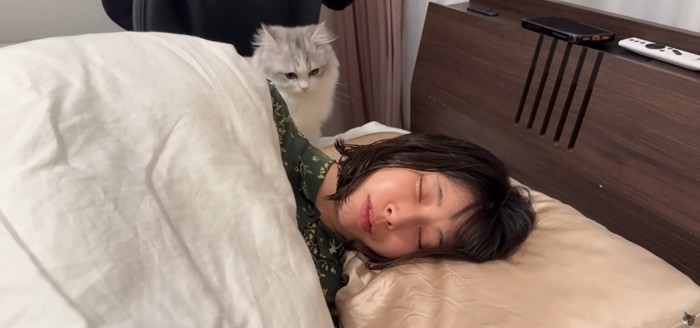 寝ている人とその後ろを歩いている猫