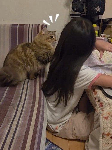 子どもと目が合う猫